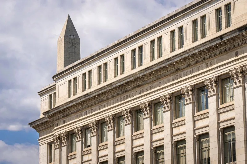 The Preferred Vendors: How a Handful of Firms Have Turned Federal Consulting Into a Closed Market